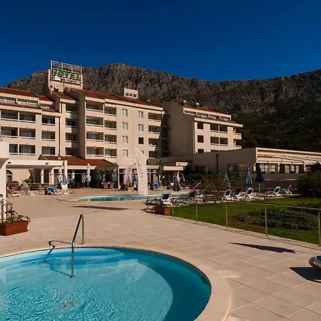 Quercus Drvenik (Split-Dalmatia)