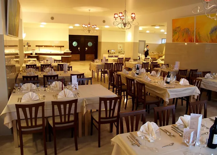 Quercus Drvenik (Split-Dalmatia)